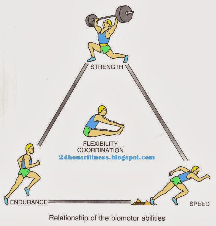 Components of fitness It's your life