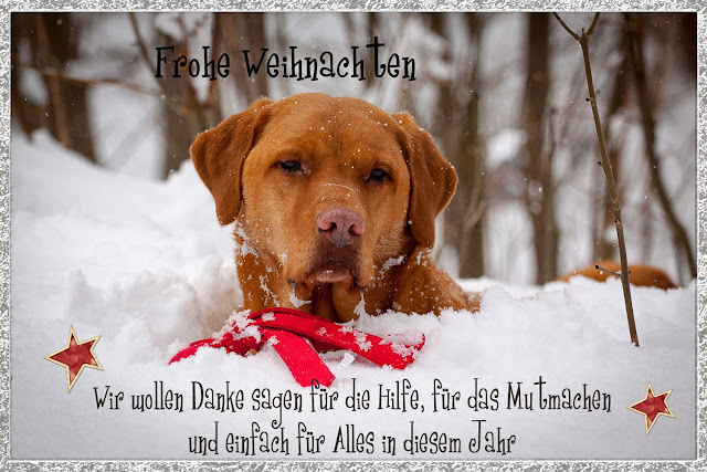 Ein Hundeleben Frohe Weihnachten