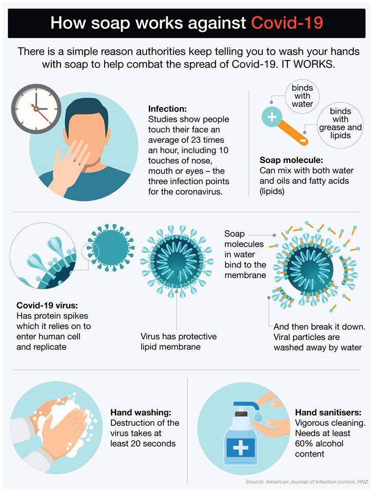 The Daily Gaggle How Soap Works Against Covid19
