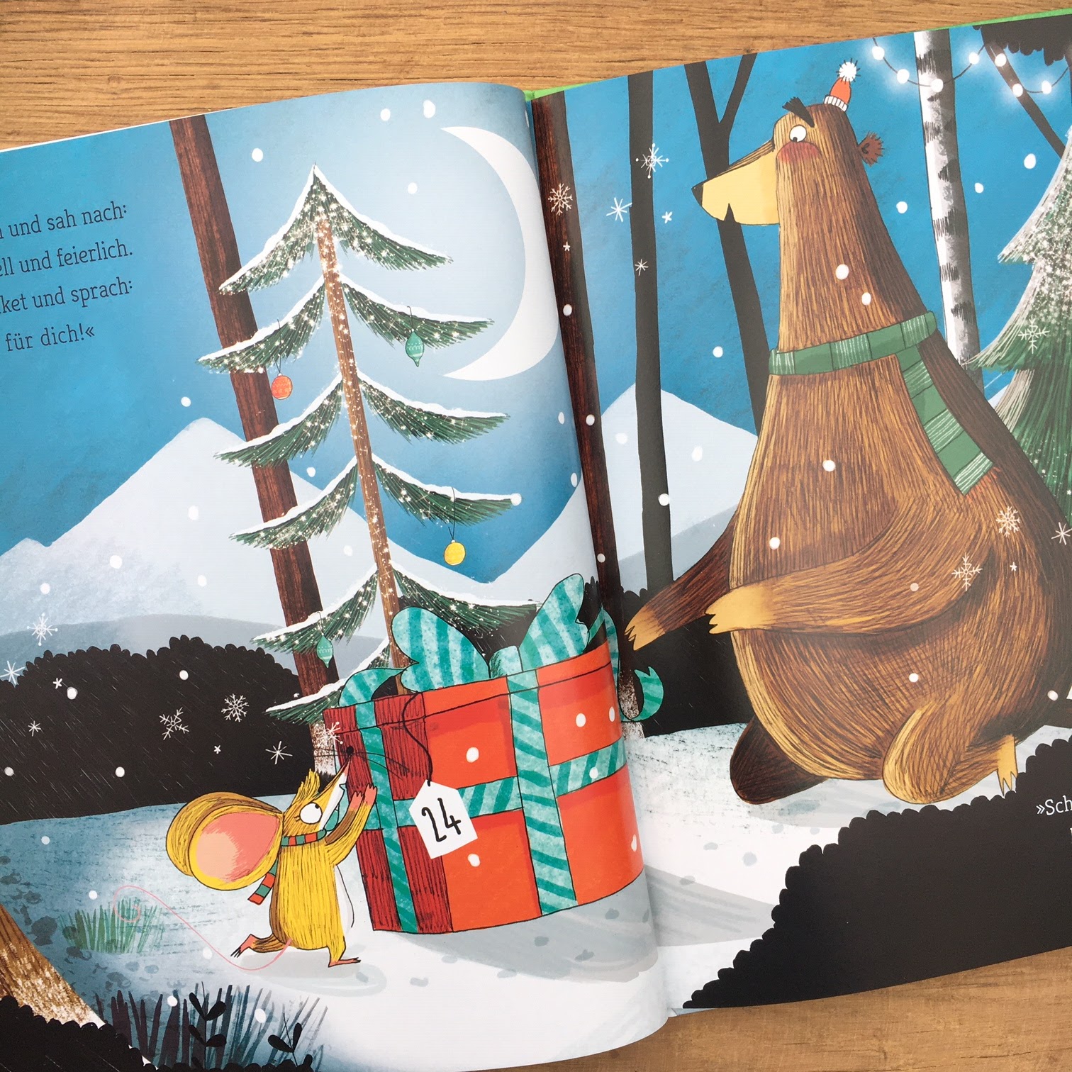 Kinderbuchblog Familienbücherei: Weihnachtsbilderbuch: "Der Weihnachts-Countdown"
