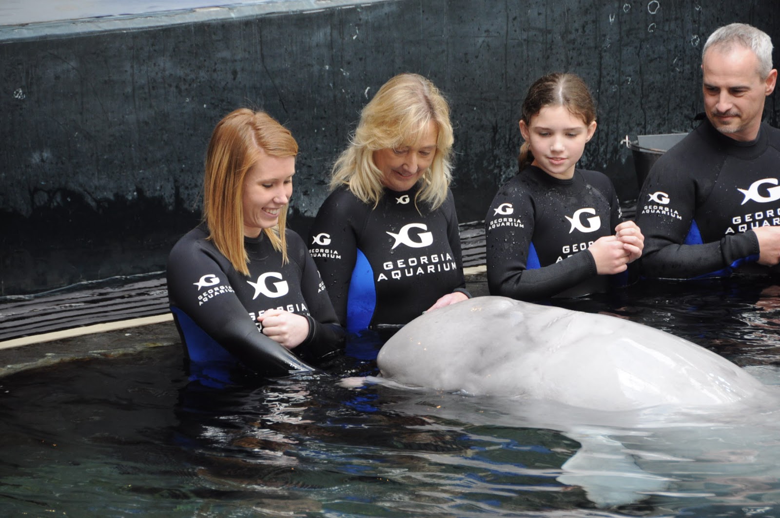 Aquarium Internship 28 Days Left!