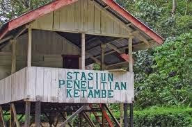 Obyek Wisata di Kabupaten Aceh Tenggara