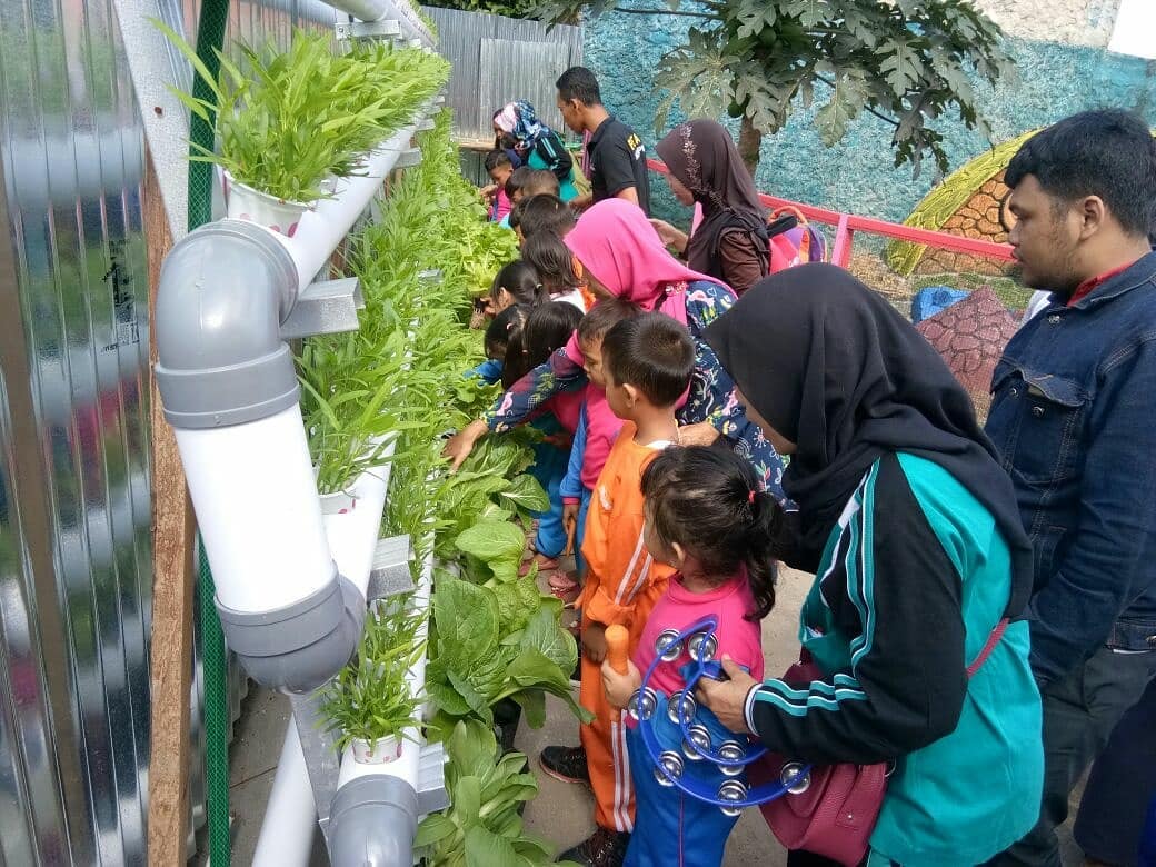 Asyiknya Rumah Stroberi &amp; Taman Kelinci Lampung Buat Liburan Anak