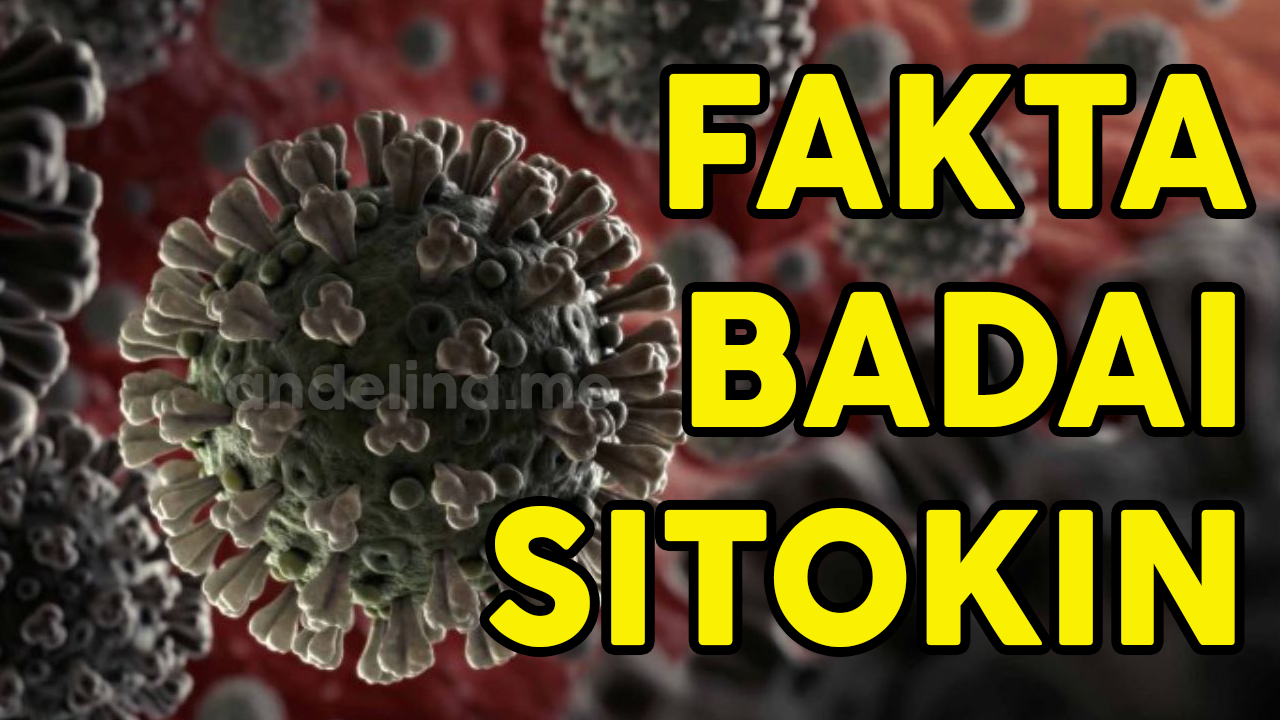 Apa Itu Badai Sitokin Pasca Covid19