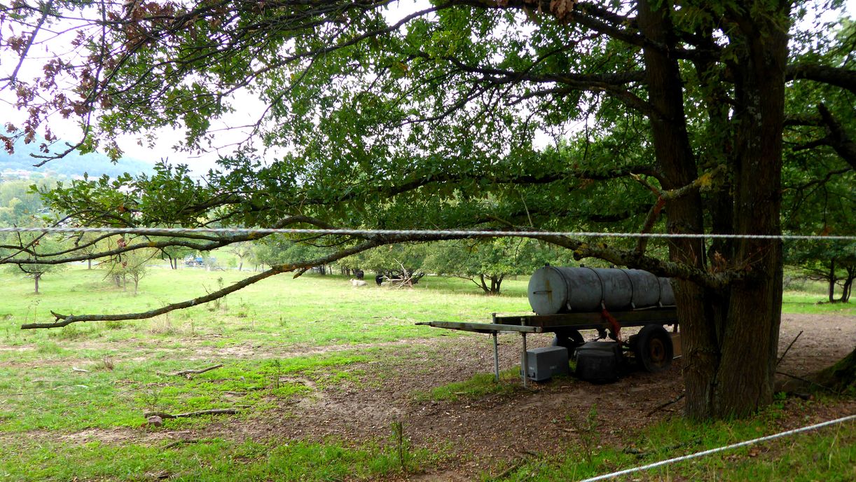 Eifersucht In Der Beziehung Und Wie Man Damit Umgeht Fashion