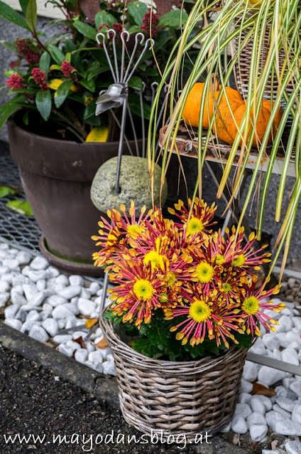 Bunter Herbst im Farbenfrohe Pflanz und Dekoideen