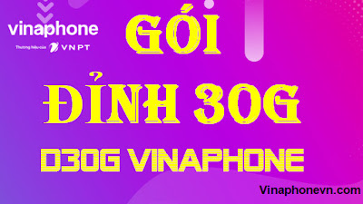 Đỉnh 30G, Gói D30G  Vinaphone