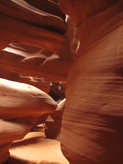 IMG_8263.JPG