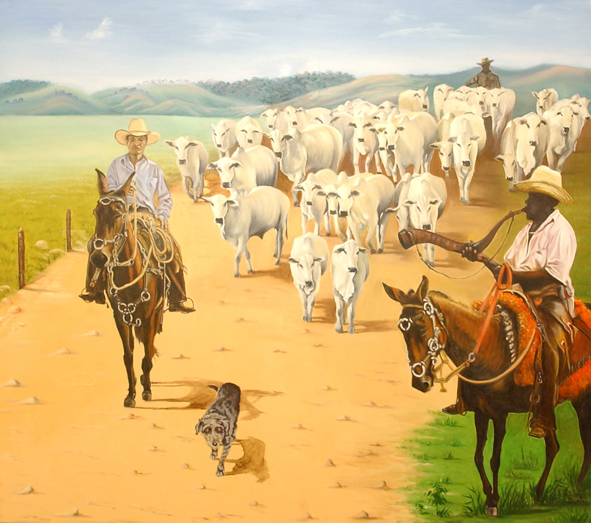 belezamaringa: Boiada do Parana