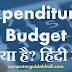 Expenditure Budget क्या है? हिंदी में