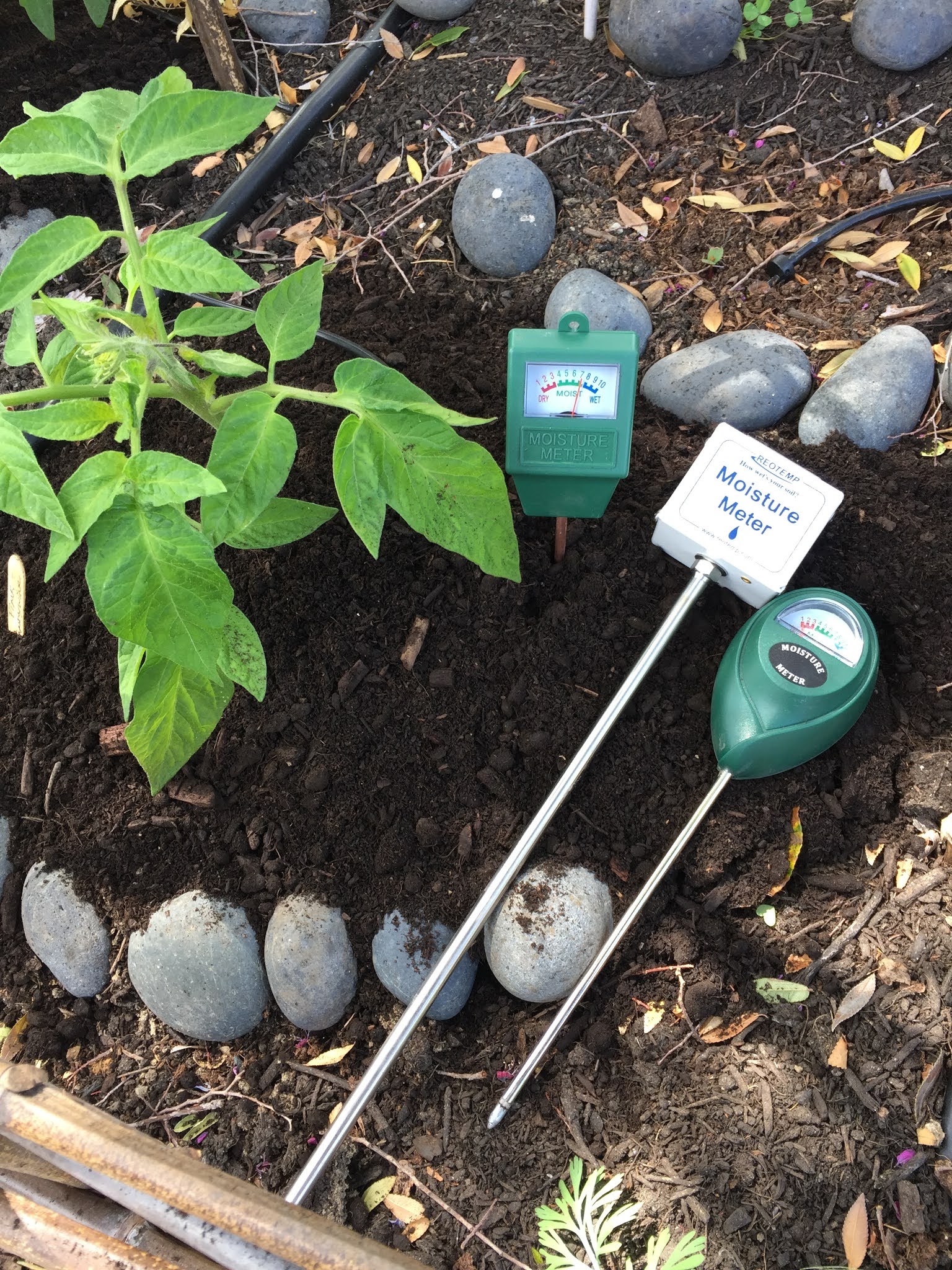 Reotemp 2024 moisture meter