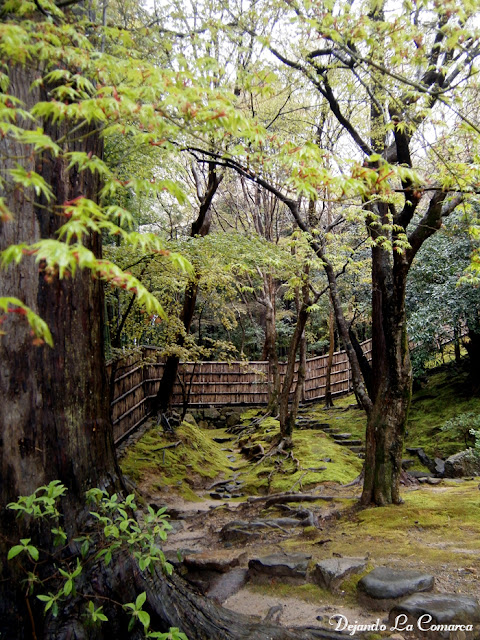 Día 12 - Kyoto (Ginkakuji - Palacio Imperial - Kiyomizu - Gion) - Japón primavera 2016 - 18 días (con bajo presupuesto) (6)