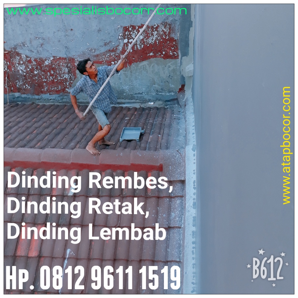 Mengatasi Tembok Rembes dan Bocor
