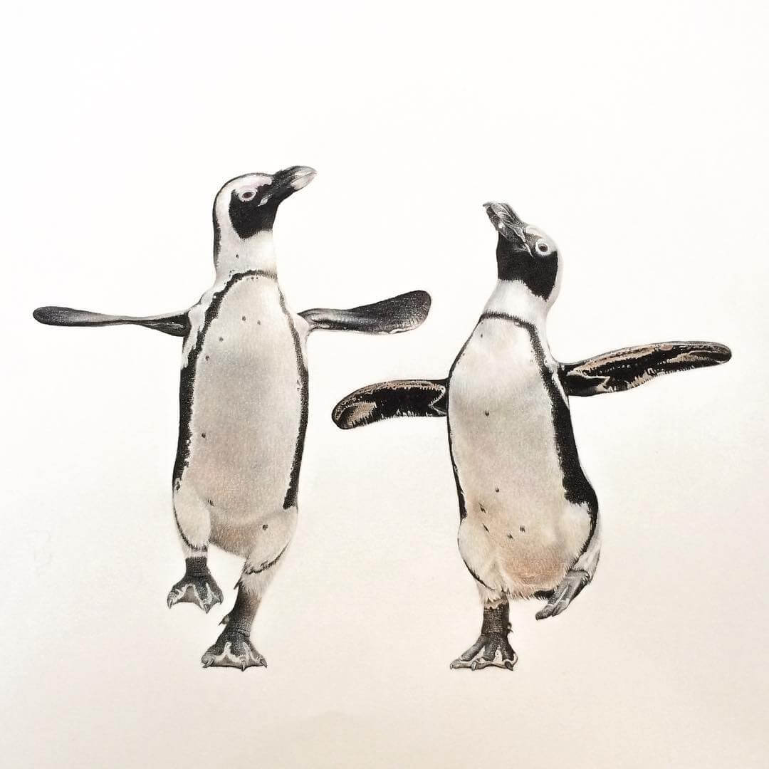 01-Dancing-Penguins-mART-Realistic-Wildlife-Animal-Drawings-www-designstack-co