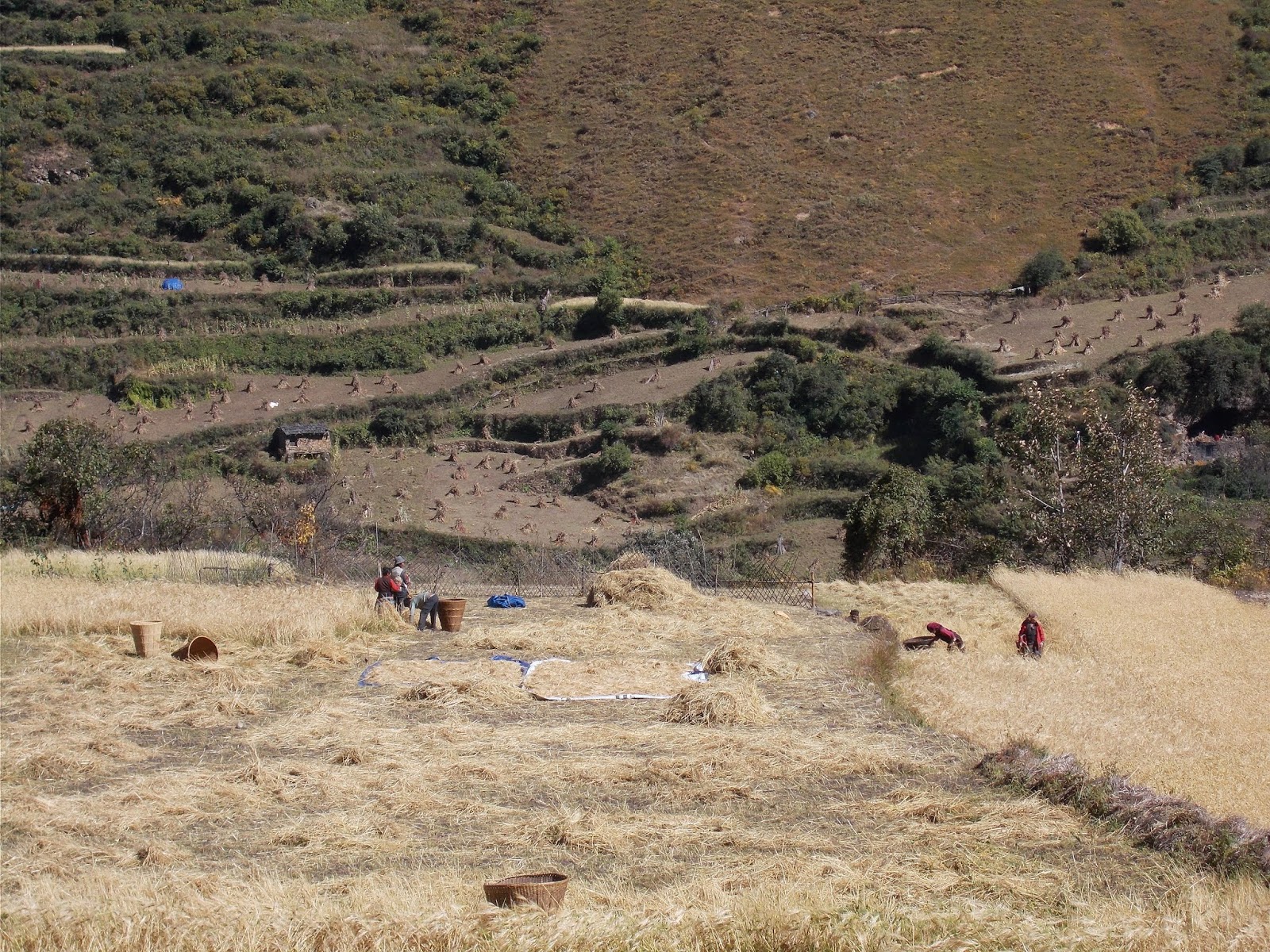 Вокруг Манаслу, долина Цум, Нар-Пу. Непал 2017.