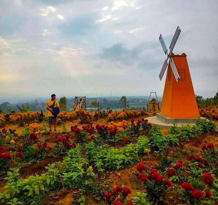 Tempat Wisata Di Kuningan Jawa Barat Yang Lagi Hits Homecare24