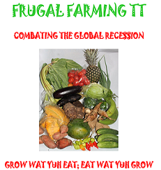 FRUGAL FARMING! Surviving Covid-19 in Trinidad and Tobago