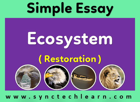 short essay on ecosystem restoration