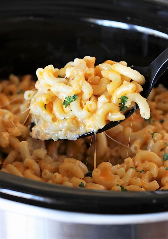 Slow Cooker Macaroni & Cheese The Kitchen is My Playground
