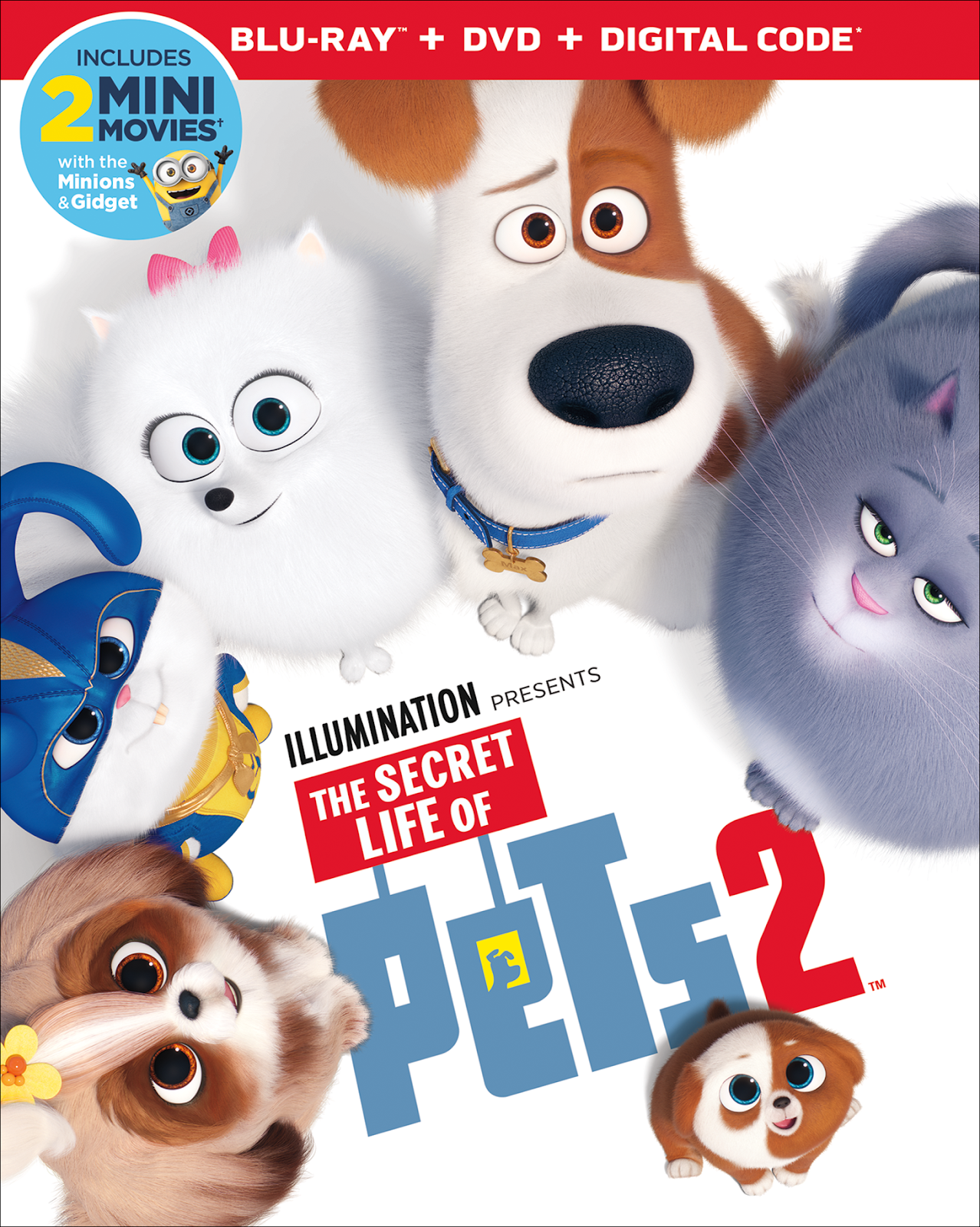 Disney's THE SECRET LIFE OF PETS 2 Debuts on Digital August 13th
