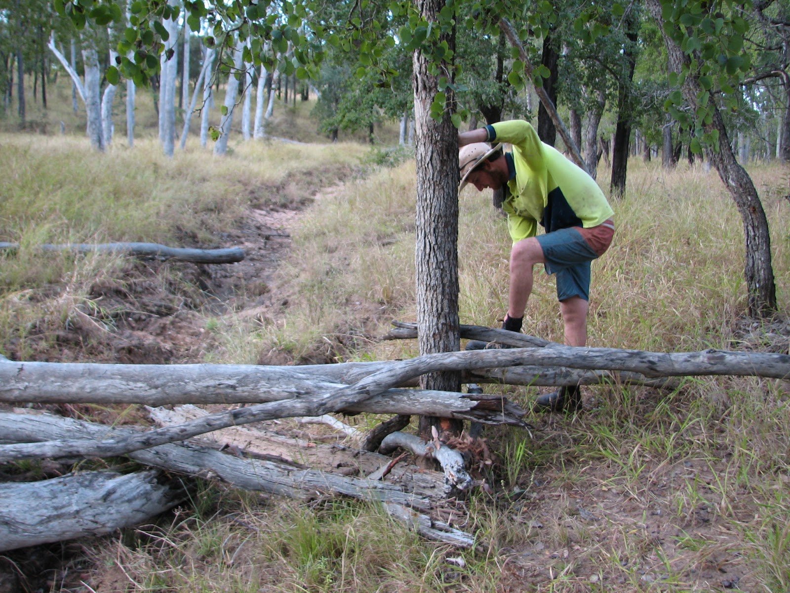 Healthy Farming Healthy Food Leaky weirs