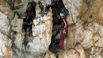 coves de Mont-ral