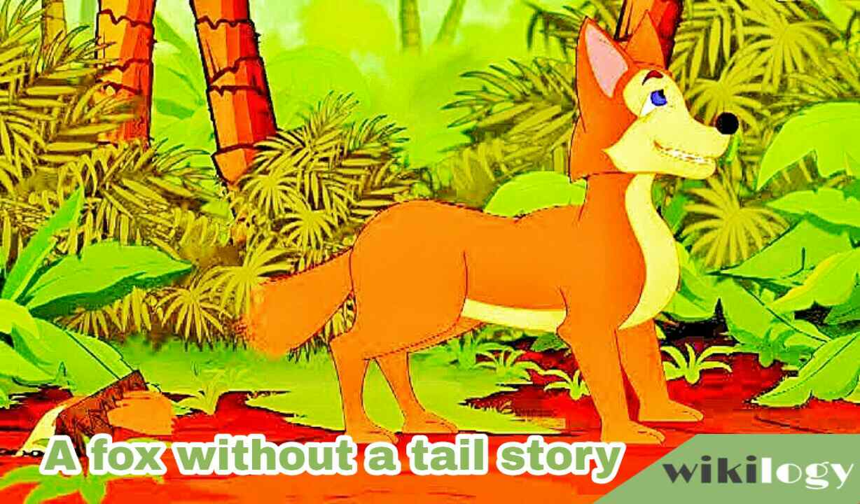 The Fox Without a Tail Story/ None Can Befool All/ Trick of Cunning Fox