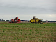 Sugar beet harvest: Ropa Tiger VS Holmer Terra Dos T3