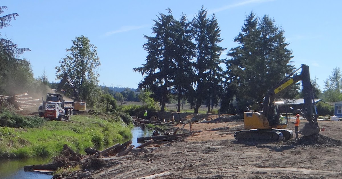 Redmond Neighborhood Blog Bear Creek Restoration At Friendly Village