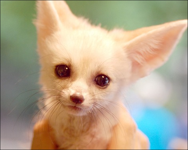 4대천왕.JPG | 인스티즈