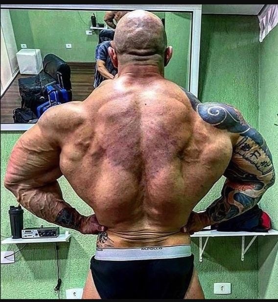 Арсен велемел muscle