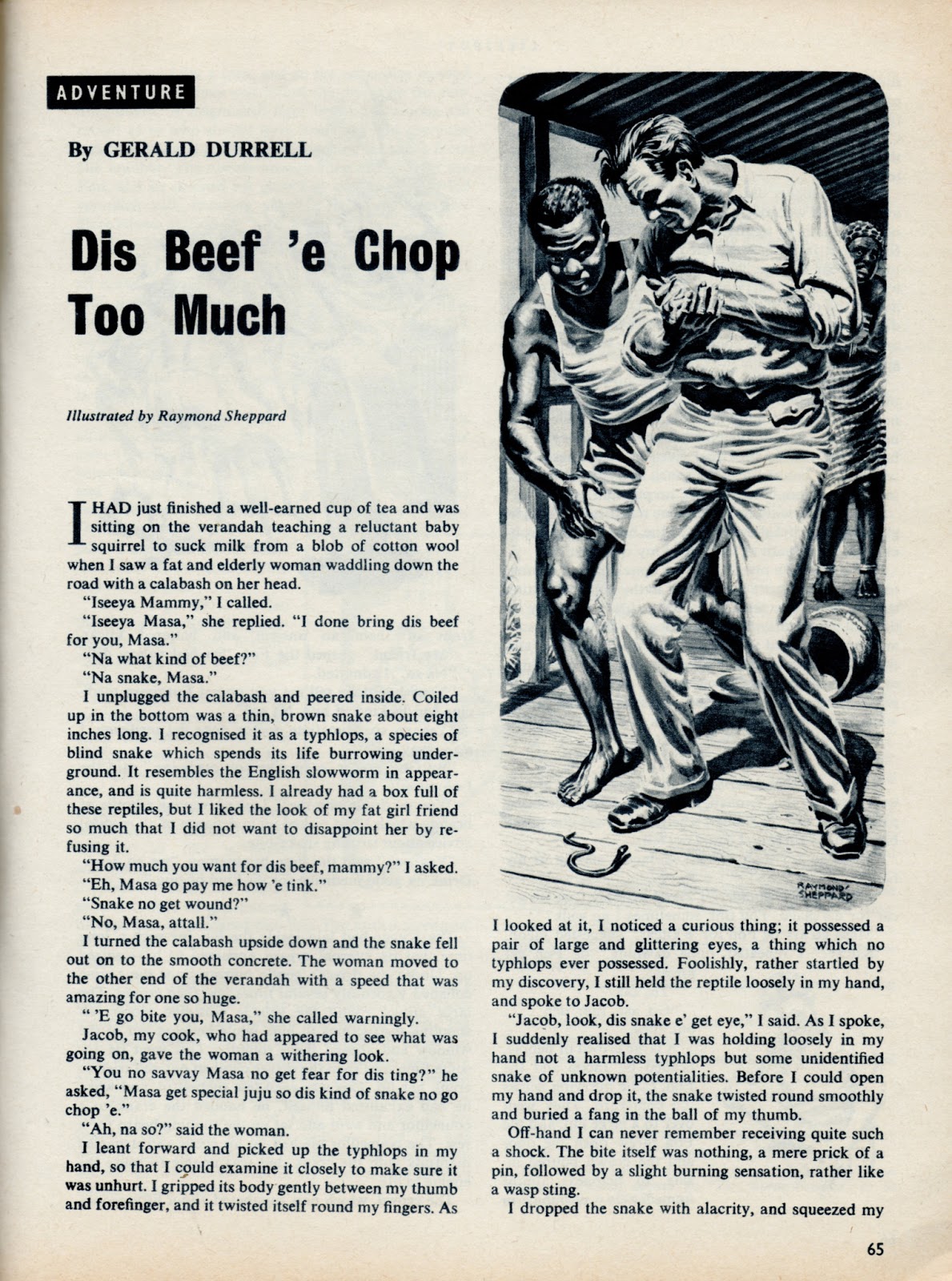 Raymond Sheppard, Lilliput stories and Gerald Durrell