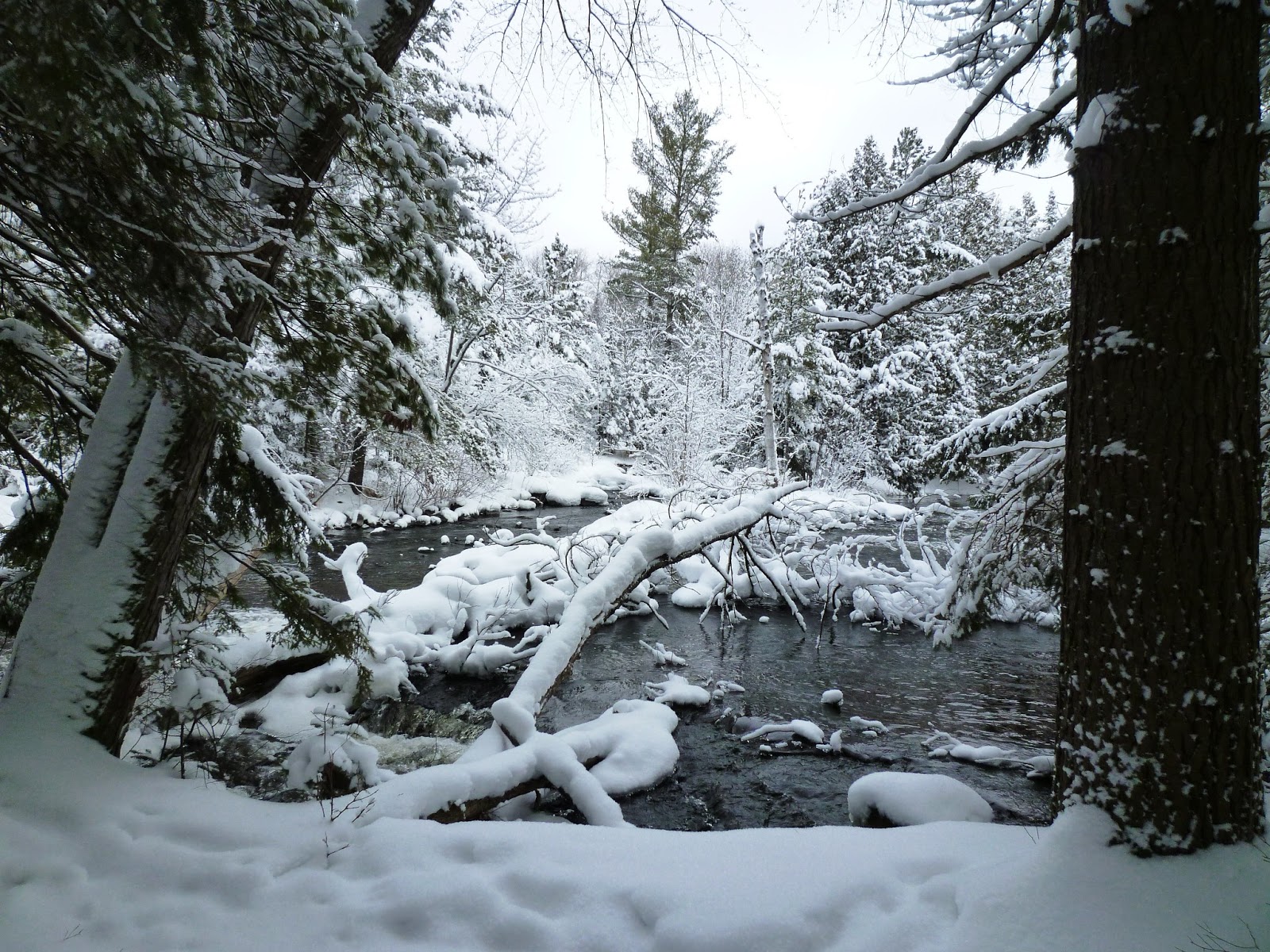 Rick's Travel Tales 2013Snowshoeing in Northern Wisconsin Day 2