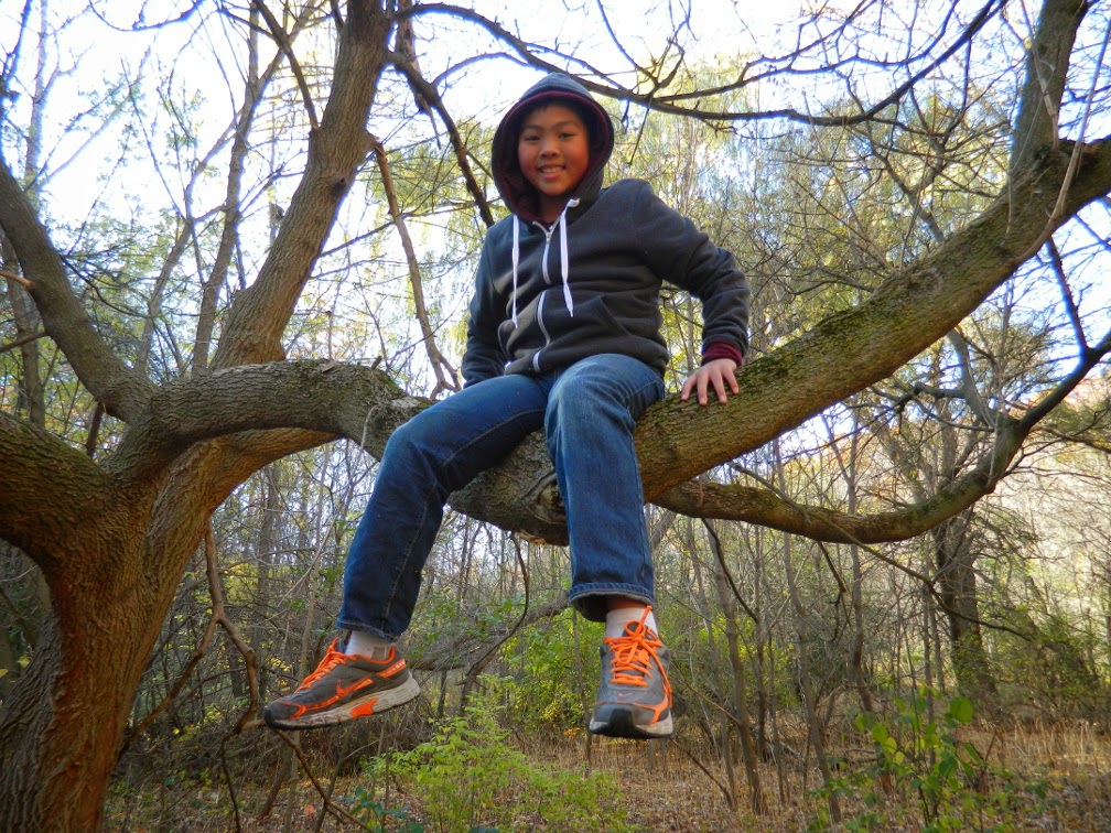 Mr Jung at Taylor Creek Park by garden muses-not another Toronto gardening blog Mr Jung at Taylor Creek Park by garden muses-not another Toronto gardening blog