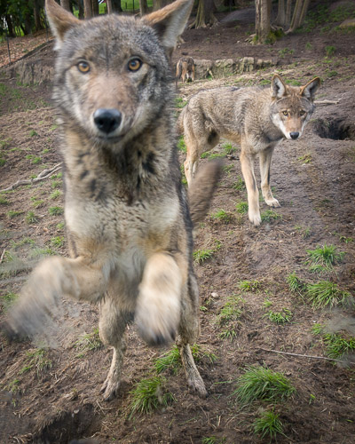 Wandering 101 Photography