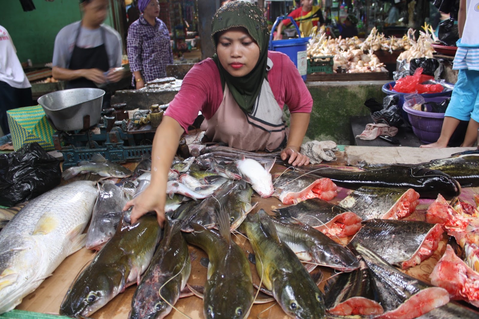 Menghadapi Tantangan Pemasaran Ikan di Era Global: Pelajaran dari Desa Cikoneng
