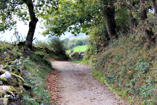 foto de flecha en el camino