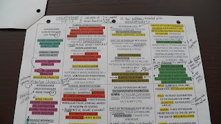 Nurse Nacole Nursing Resources: YouTube Vlog | Studying Using Homemade