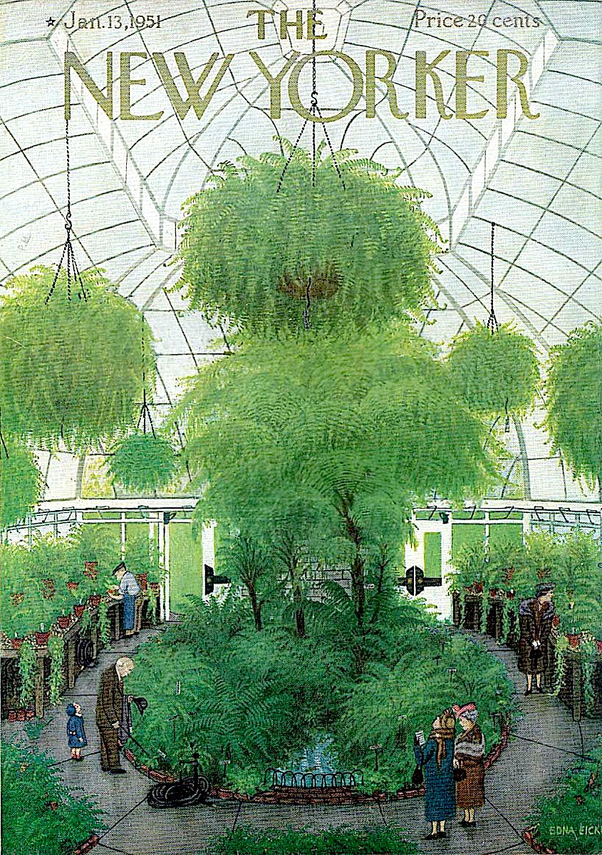 Edna Eicke 1951 an Edna Eicke illustration for The New Yorker Magazine January 13 1951, in a public greenhouse