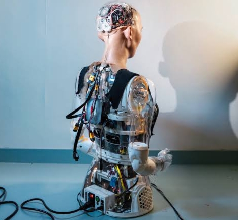 social humanoid robot sophia