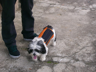 colete para coluna de cães colete para coluna de cães