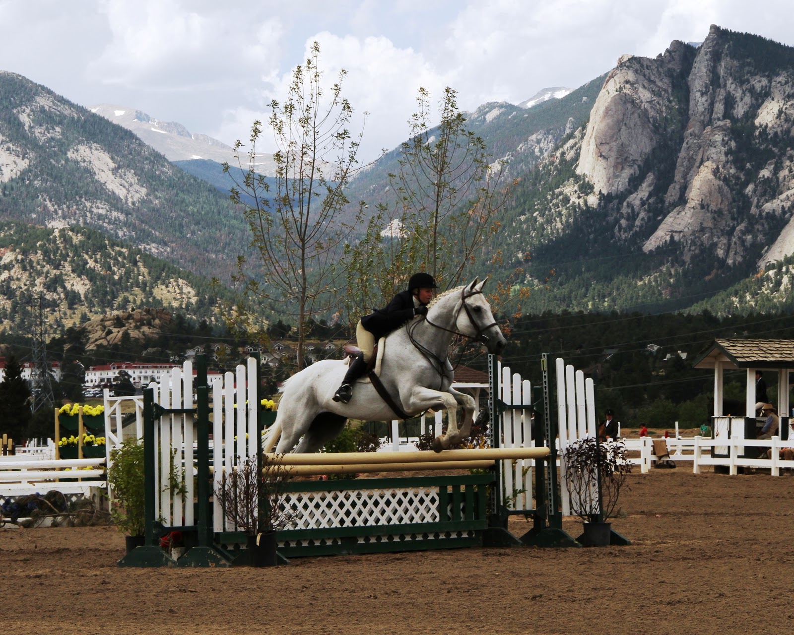 Enjoy the Ride: Estes Park Horse Show