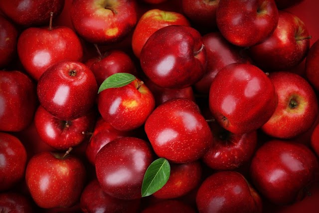 Top 10 Good Reasons To Eat Red Apple