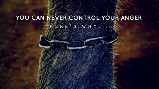 Here’s Why “Tips To Control Your Anger” Will NEVER Work For You