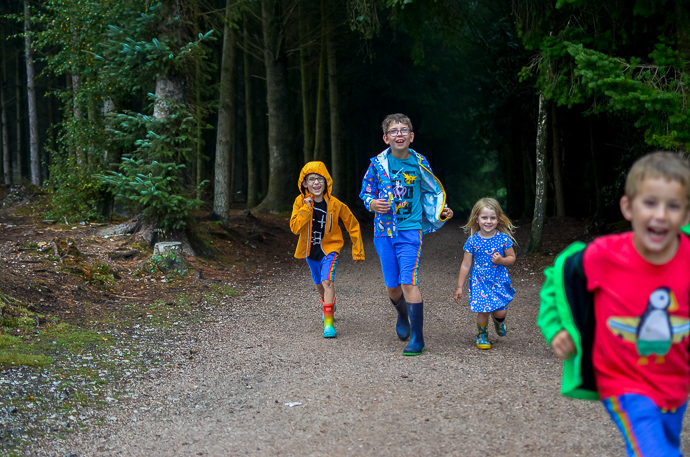 Haldon Forest, Exploring Devon, Forestry England