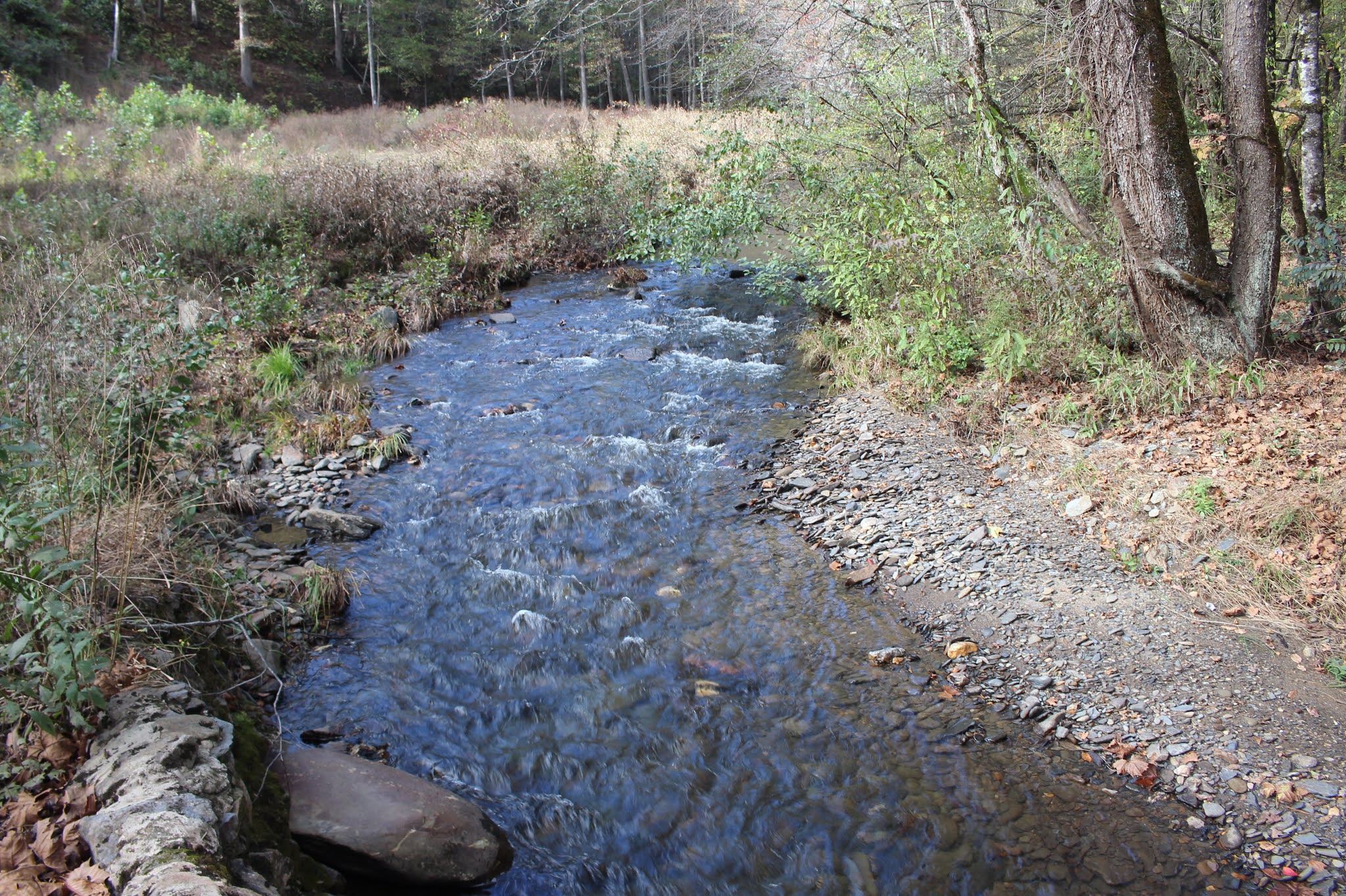 Cumberland Gal Joe Brown Highway Coker Creek to Murphy and Back