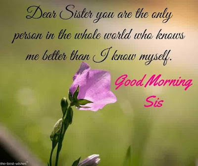 Good Morning Sister images