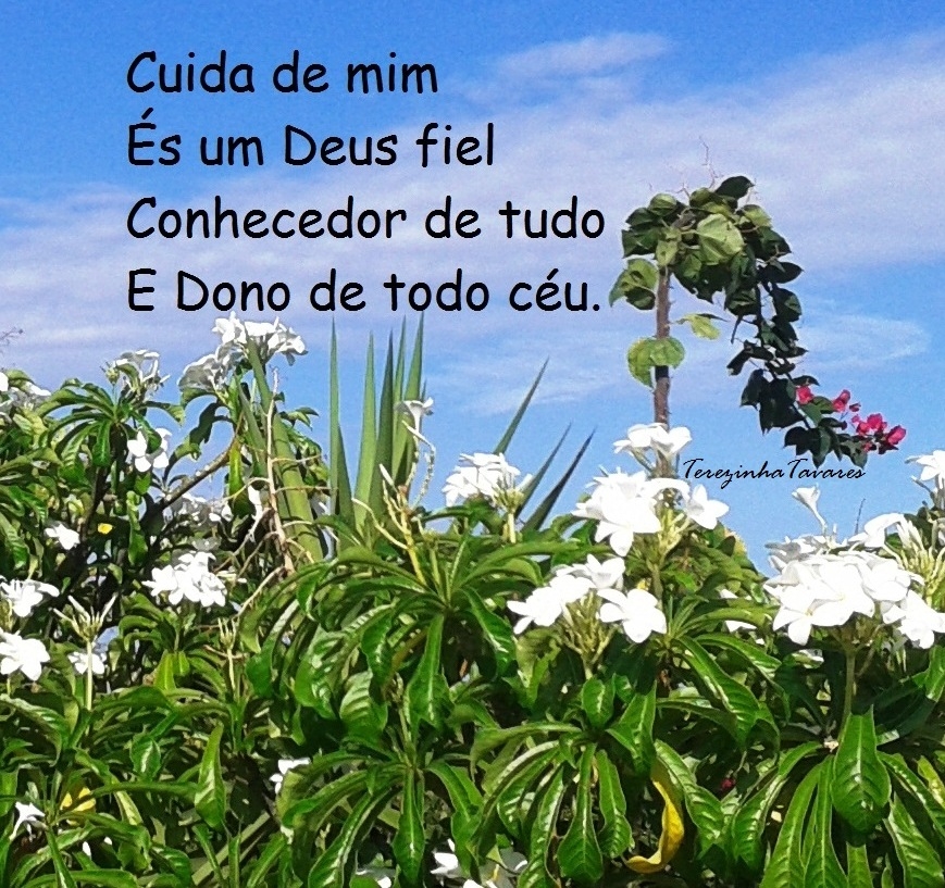 Terezinha Tavares Poema Deus Cuida De Mim