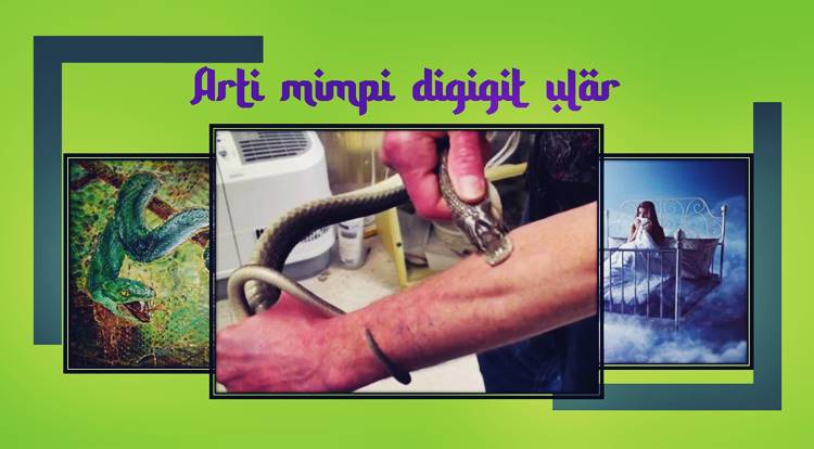 Arti mimpi digigit ular Arti mimpi digigit ular