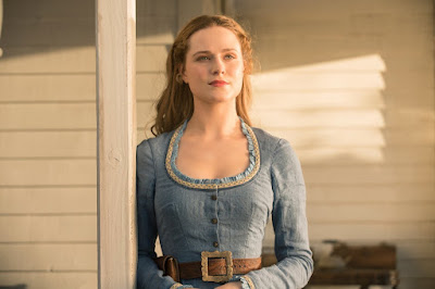 HBO's Westworld Series